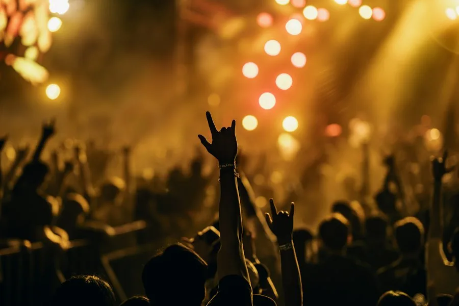 Festival crowd throwing horns under warm stage lights